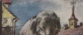 История написания басни слон и моська