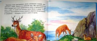 Короткие сказочные истории про животных