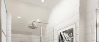 Ванная, совмещенная с туалетом – особенности оформления Дизайн проекты ванной с санузлом